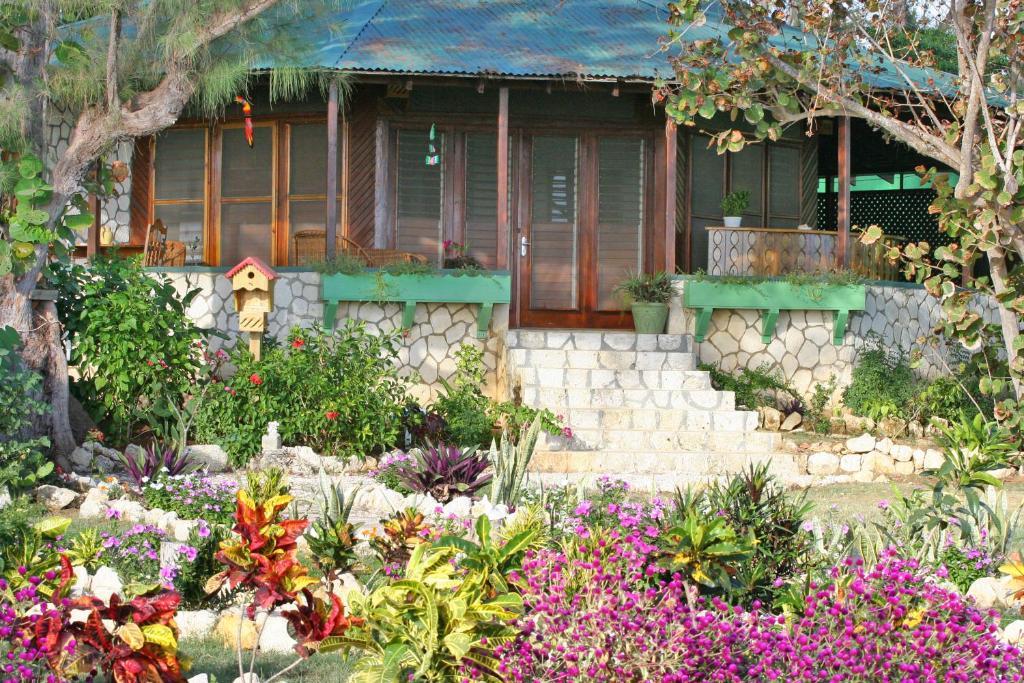 Catcha Falling Star Negril Quarto foto
