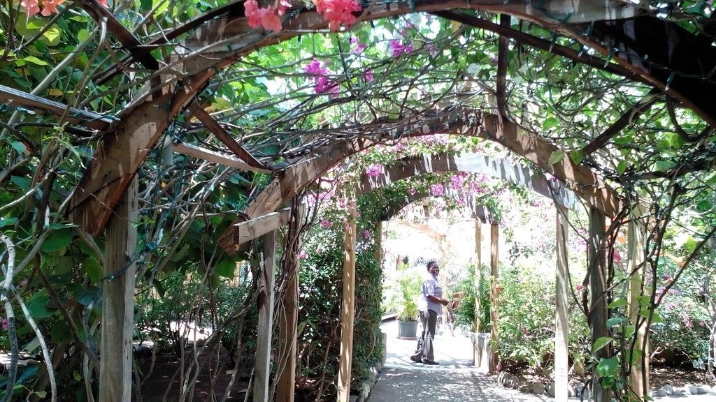 Catcha Falling Star Negril Exterior foto